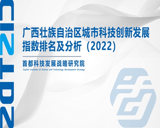 操B骚妇【成果发布】广西壮族自治区城市科技创新发展指数排名及分析（2022）